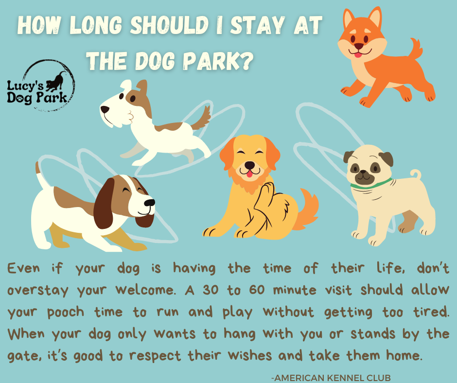 Dexter, Mo Parks & Recreation