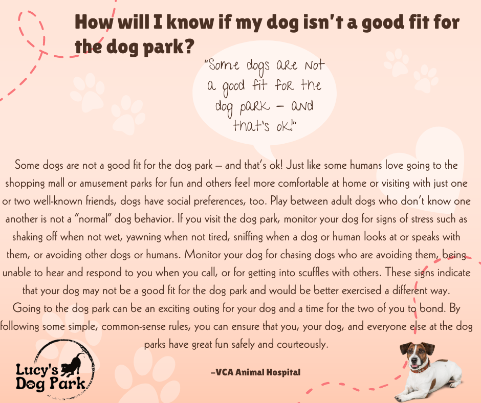 Dexter, Mo Parks & Recreation