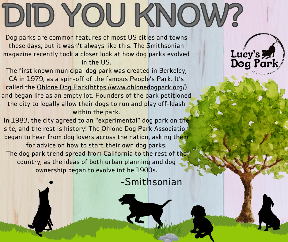 Dexter, Mo Parks & Recreation